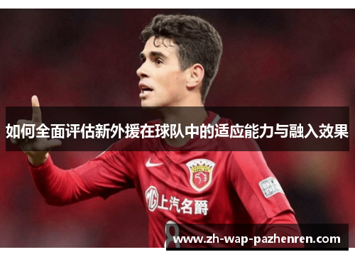 如何全面评估新外援在球队中的适应能力与融入效果