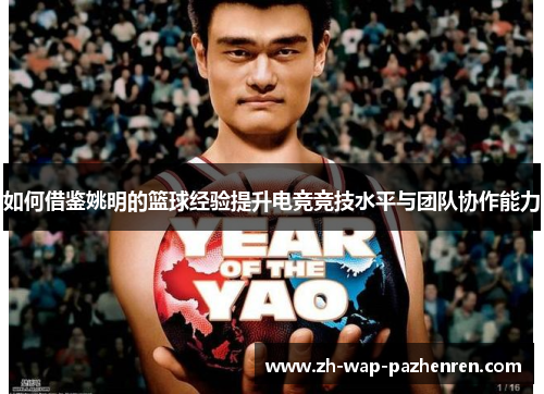 如何借鉴姚明的篮球经验提升电竞竞技水平与团队协作能力
