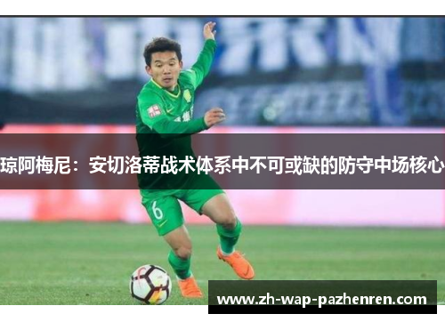 琼阿梅尼:安切洛蒂战术体系中不可或缺的防守中场核心 琼阿梅尼:安切洛蒂战术体系中不可或缺的防守中场核心