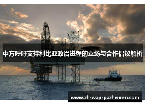 中方呼吁支持利比亚政治进程的立场与合作倡议解析 中方呼吁支持利比亚政治进程的立场与合作倡议解析