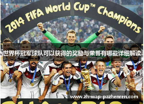 世界杯冠军球队可以获得的奖励与荣誉有哪些详细解读