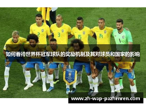 如何看待世界杯冠军球队的奖励机制及其对球员和国家的影响 如何看待世界杯冠军球队的奖励机制及其对球员和国家的影响
