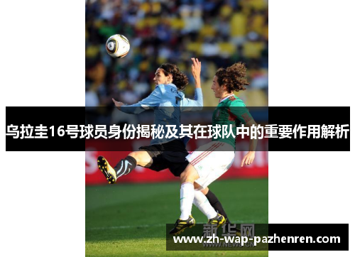 乌拉圭16号球员身份揭秘及其在球队中的重要作用解析