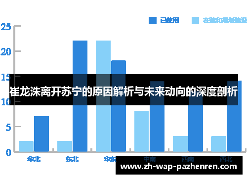 崔龙洙离开苏宁的原因解析与未来动向的深度剖析