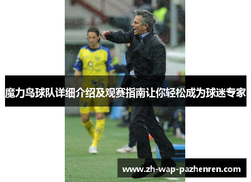 魔力鸟球队详细介绍及观赛指南让你轻松成为球迷专家
