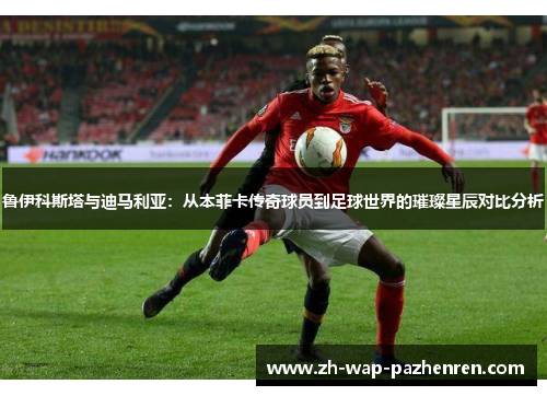 鲁伊科斯塔与迪马利亚：从本菲卡传奇球员到足球世界的璀璨星辰对比分析