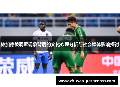 林加德被调侃现象背后的文化心理分析与社会媒体影响探讨