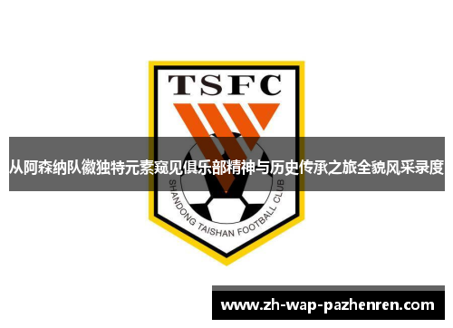 从阿森纳队徽独特元素窥见俱乐部精神与历史传承之旅全貌风采录度