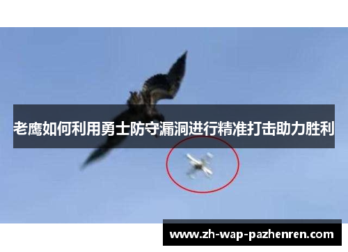 老鹰如何利用勇士防守漏洞进行精准打击助力胜利